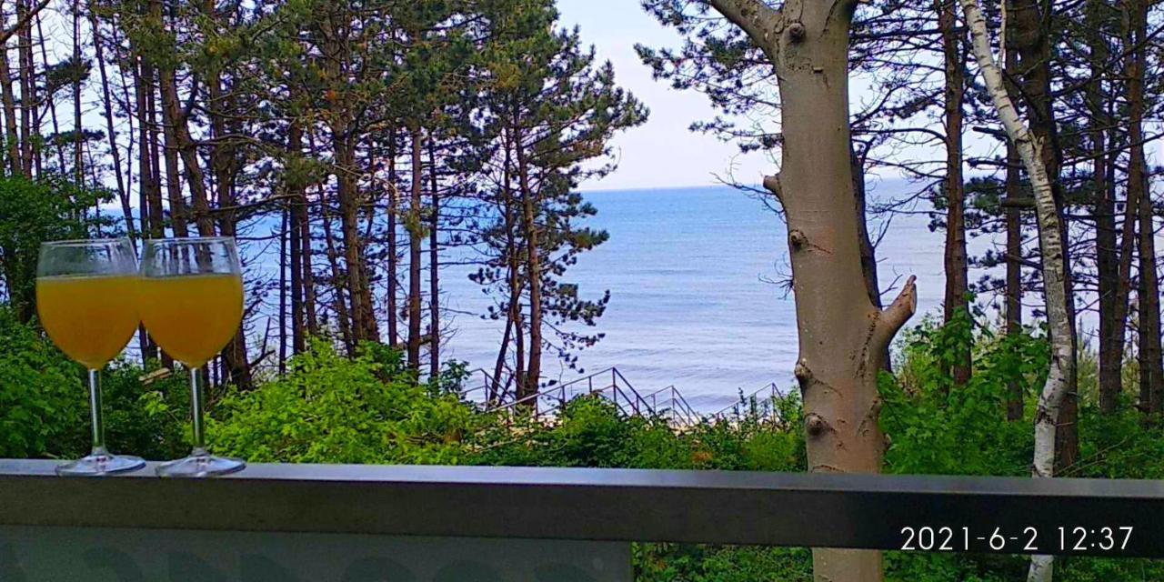 Sea & Z Widokiem Na Morze - Dwie Sosny *